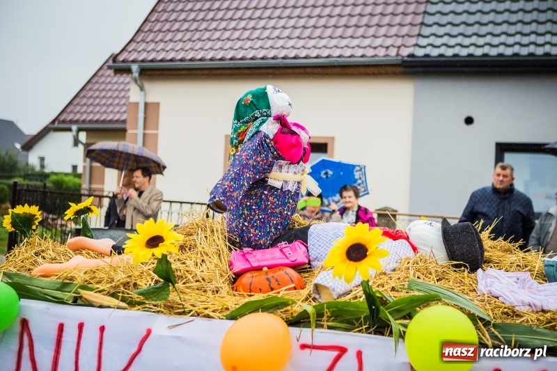 Zdjęcie w galerii na portalu naszraciborz.pl: Dożynki miejskie Raciborza. 800 kilogramów dyni na 800 lat Raciborza wiadomości z regionu