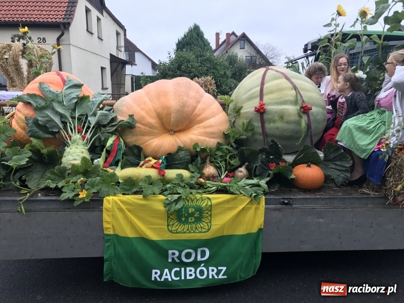 Zdjęcie w galerii na portalu naszraciborz.pl: Dożynki miejskie Raciborza. 800 kilogramów dyni na 800 lat Raciborza wiadomości z regionu