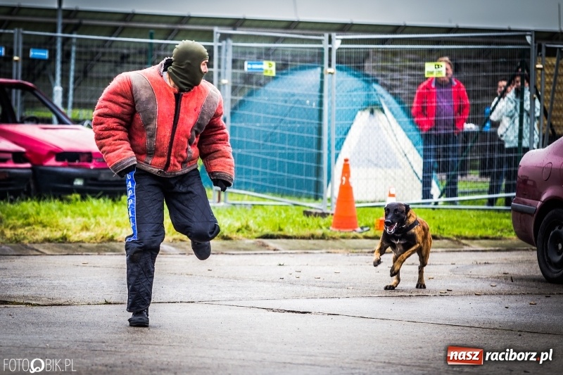 Zdjęcie w galerii na portalu naszraciborz.pl: Dziś ruszają Dni NATO w Ostrawie. Główne atrakcje w weekend  wiadomości z regionu
