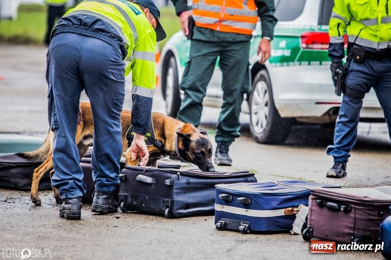 Zdjęcie w galerii na portalu naszraciborz.pl: Dziś ruszają Dni NATO w Ostrawie. Główne atrakcje w weekend  wiadomości z regionu