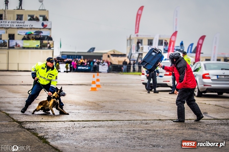Zdjęcie w galerii na portalu naszraciborz.pl: Dziś ruszają Dni NATO w Ostrawie. Główne atrakcje w weekend  wiadomości z regionu