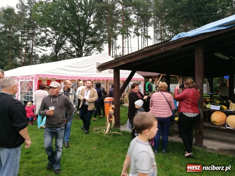 Zdjęcie w galerii na portalu naszraciborz.pl: Festiwal bani w Rudzie Kozielskiej, czyli co dobrego można przygotować z dyni wiadomości z regionu