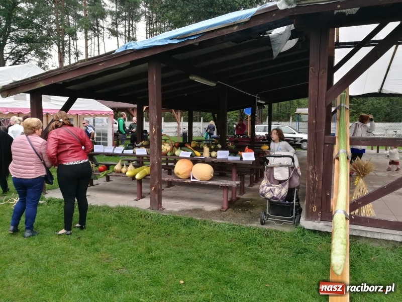 Zdjęcie w galerii na portalu naszraciborz.pl: Festiwal bani w Rudzie Kozielskiej, czyli co dobrego można przygotować z dyni wiadomości z regionu
