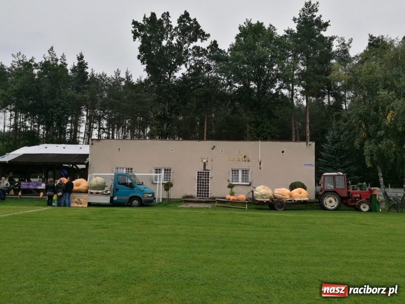 Zdjęcie w galerii na portalu naszraciborz.pl: Festiwal bani w Rudzie Kozielskiej, czyli co dobrego można przygotować z dyni wiadomości z regionu