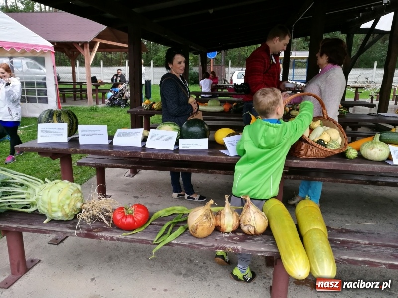 Zdjęcie w galerii na portalu naszraciborz.pl: Festiwal bani w Rudzie Kozielskiej, czyli co dobrego można przygotować z dyni wiadomości z regionu