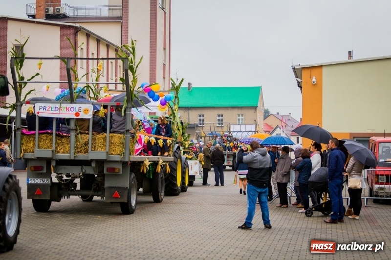 Zdjęcie w galerii na portalu naszraciborz.pl: Urodzinowe dożynki Pietrowic Wielkich. Rolnicy pokazali nowoczesny sprzęt  wiadomości z regionu