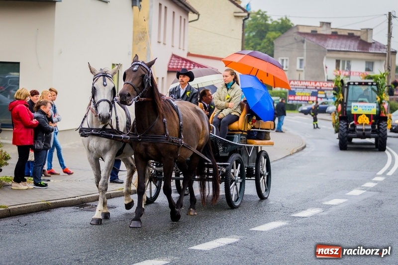 Zdjęcie w galerii na portalu naszraciborz.pl: Urodzinowe dożynki Pietrowic Wielkich. Rolnicy pokazali nowoczesny sprzęt  wiadomości z regionu