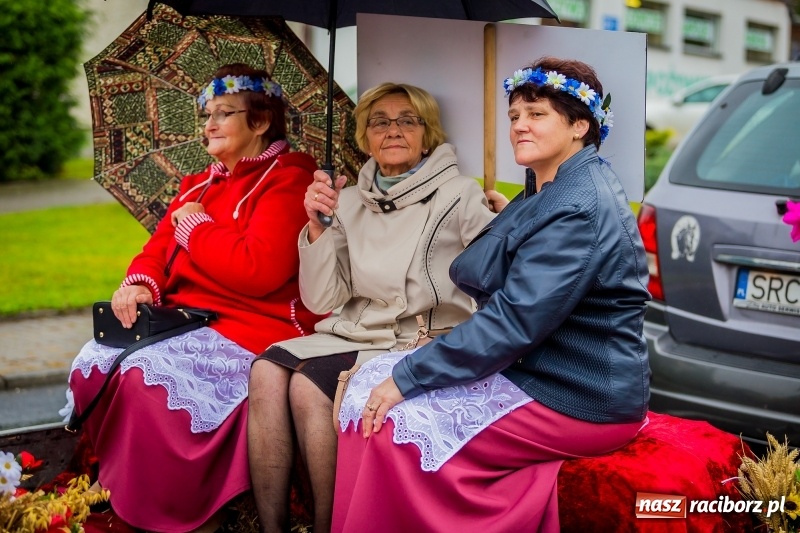 Zdjęcie w galerii na portalu naszraciborz.pl: Urodzinowe dożynki Pietrowic Wielkich. Rolnicy pokazali nowoczesny sprzęt  wiadomości z regionu