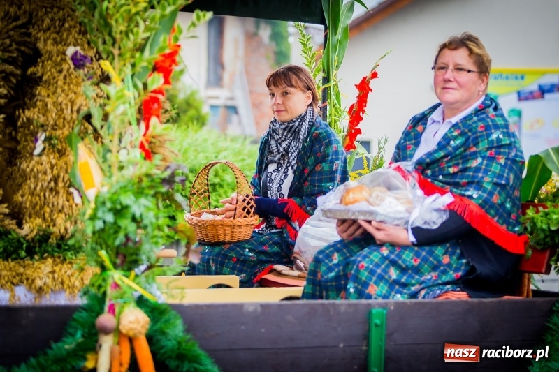 Zdjęcie w galerii na portalu naszraciborz.pl: Urodzinowe dożynki Pietrowic Wielkich. Rolnicy pokazali nowoczesny sprzęt  wiadomości z regionu