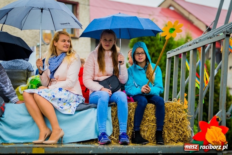 Zdjęcie w galerii na portalu naszraciborz.pl: Urodzinowe dożynki Pietrowic Wielkich. Rolnicy pokazali nowoczesny sprzęt  wiadomości z regionu