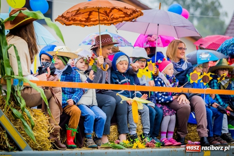 Zdjęcie w galerii na portalu naszraciborz.pl: Urodzinowe dożynki Pietrowic Wielkich. Rolnicy pokazali nowoczesny sprzęt  wiadomości z regionu