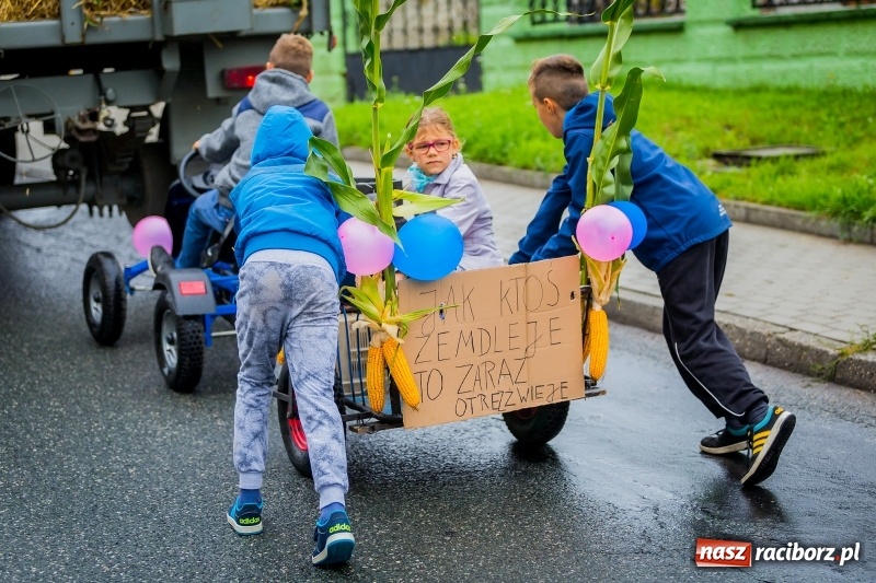 Zdjęcie w galerii na portalu naszraciborz.pl: Urodzinowe dożynki Pietrowic Wielkich. Rolnicy pokazali nowoczesny sprzęt  wiadomości z regionu
