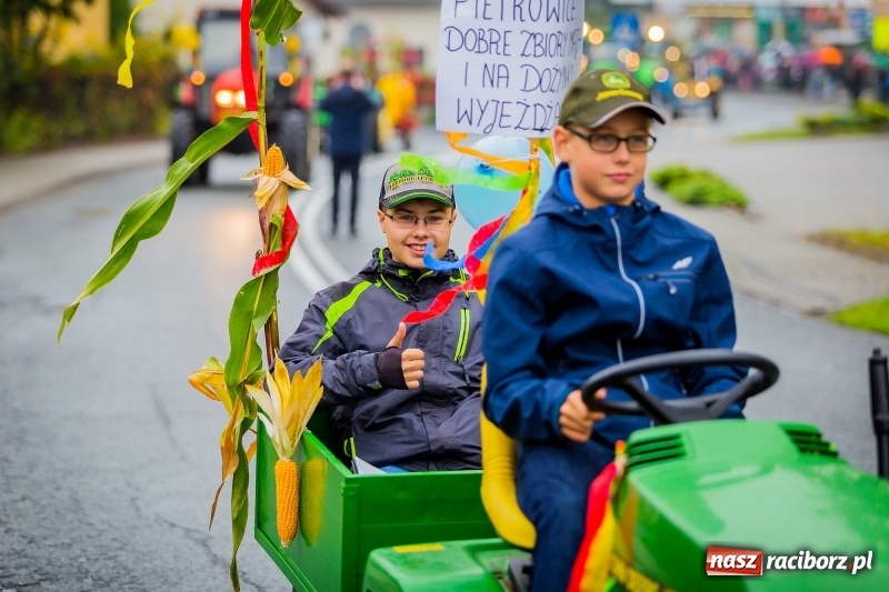 Zdjęcie w galerii na portalu naszraciborz.pl: Urodzinowe dożynki Pietrowic Wielkich. Rolnicy pokazali nowoczesny sprzęt  wiadomości z regionu