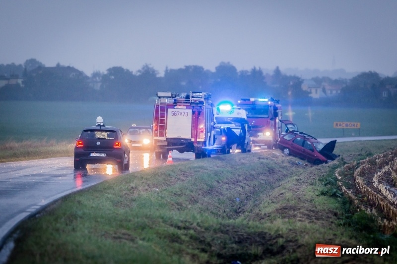 Zdjęcie w galerii na portalu naszraciborz.pl: Samochód wjechał do rowu na drodze pomiędzy Ocicami a Samborowicami  wiadomości z regionu