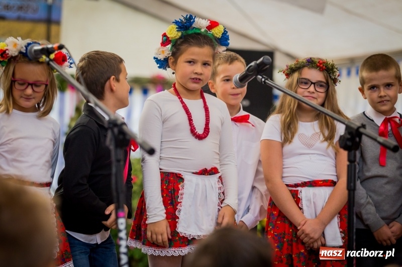 Zdjęcie w galerii na portalu naszraciborz.pl: Występy artystyczne na dożynkach miejskich  wiadomości z regionu