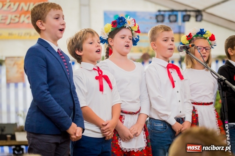 Zdjęcie w galerii na portalu naszraciborz.pl: Występy artystyczne na dożynkach miejskich  wiadomości z regionu