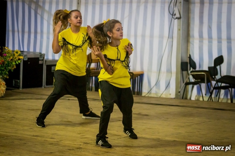 Zdjęcie w galerii na portalu naszraciborz.pl: Występy artystyczne na dożynkach miejskich  wiadomości z regionu