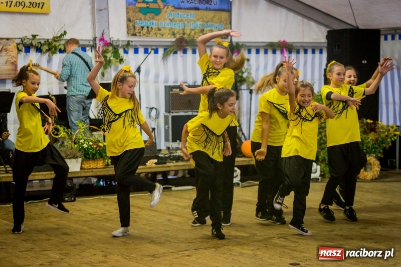 Zdjęcie w galerii na portalu naszraciborz.pl: Występy artystyczne na dożynkach miejskich  wiadomości z regionu
