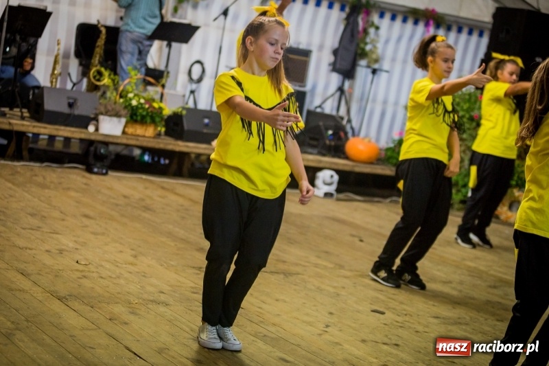 Zdjęcie w galerii na portalu naszraciborz.pl: Występy artystyczne na dożynkach miejskich  wiadomości z regionu