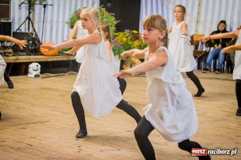 Zdjęcie w galerii na portalu naszraciborz.pl: Występy artystyczne na dożynkach miejskich  wiadomości z regionu