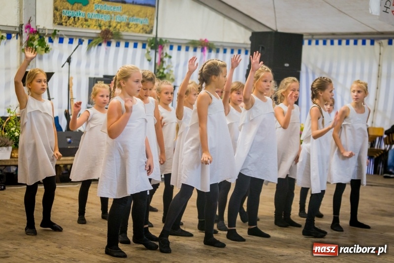 Zdjęcie w galerii na portalu naszraciborz.pl: Występy artystyczne na dożynkach miejskich  wiadomości z regionu