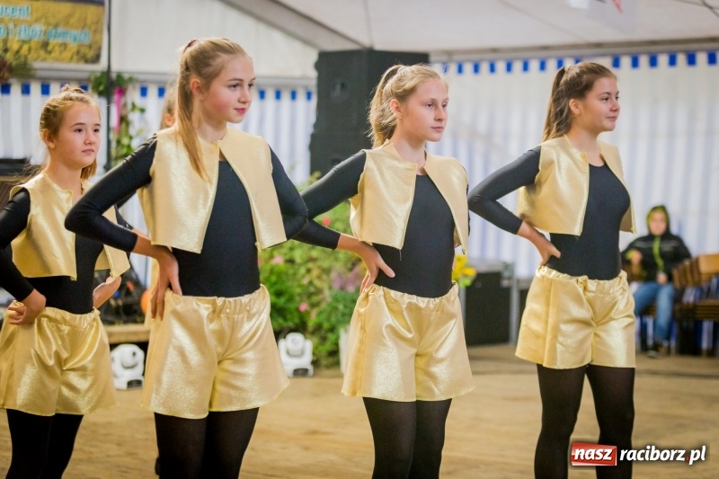 Zdjęcie w galerii na portalu naszraciborz.pl: Występy artystyczne na dożynkach miejskich  wiadomości z regionu