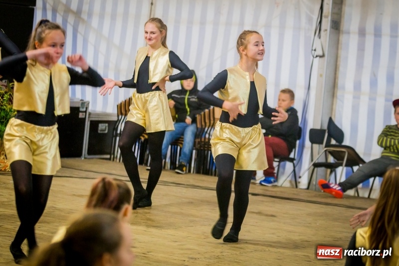 Zdjęcie w galerii na portalu naszraciborz.pl: Występy artystyczne na dożynkach miejskich  wiadomości z regionu