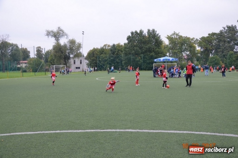 Zdjęcie w galerii na portalu naszraciborz.pl: Żaki Młodsze Tworkowa wygrały Ligę Europy w czasie turnieju Tychy Cup 2017 wiadomości z regionu