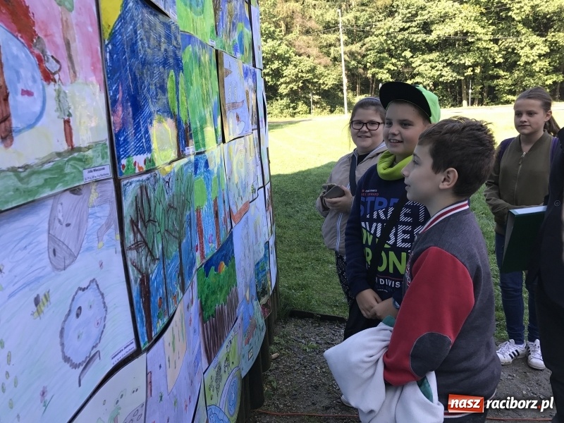 Zdjęcie w galerii na portalu naszraciborz.pl: W lesie Obora otwarto Zieloną Klasę. Sporo atrakcji dla najmłodszych wiadomości z regionu
