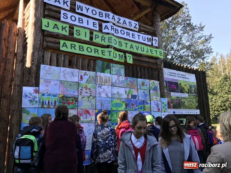 Zdjęcie w galerii na portalu naszraciborz.pl: W lesie Obora otwarto Zieloną Klasę. Sporo atrakcji dla najmłodszych wiadomości z regionu