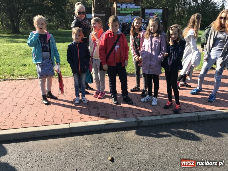 Zdjęcie w galerii na portalu naszraciborz.pl: W lesie Obora otwarto Zieloną Klasę. Sporo atrakcji dla najmłodszych wiadomości z regionu
