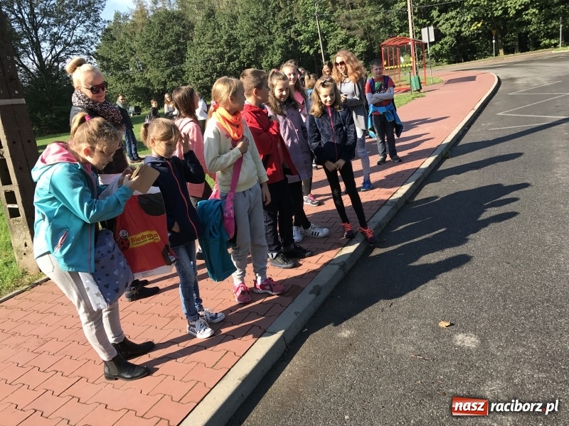 Zdjęcie w galerii na portalu naszraciborz.pl: W lesie Obora otwarto Zieloną Klasę. Sporo atrakcji dla najmłodszych wiadomości z regionu