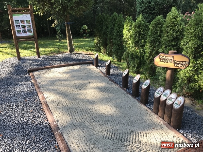 Zdjęcie w galerii na portalu naszraciborz.pl: W lesie Obora otwarto Zieloną Klasę. Sporo atrakcji dla najmłodszych wiadomości z regionu