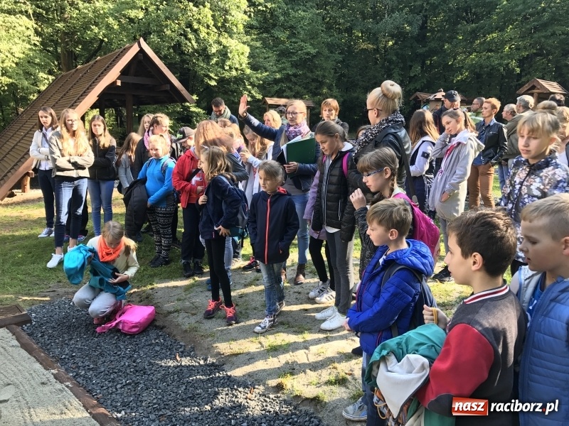 Zdjęcie w galerii na portalu naszraciborz.pl: W lesie Obora otwarto Zieloną Klasę. Sporo atrakcji dla najmłodszych wiadomości z regionu