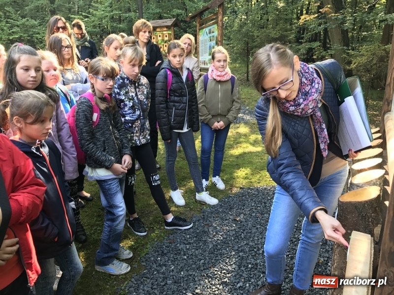 Zdjęcie w galerii na portalu naszraciborz.pl: W lesie Obora otwarto Zieloną Klasę. Sporo atrakcji dla najmłodszych wiadomości z regionu