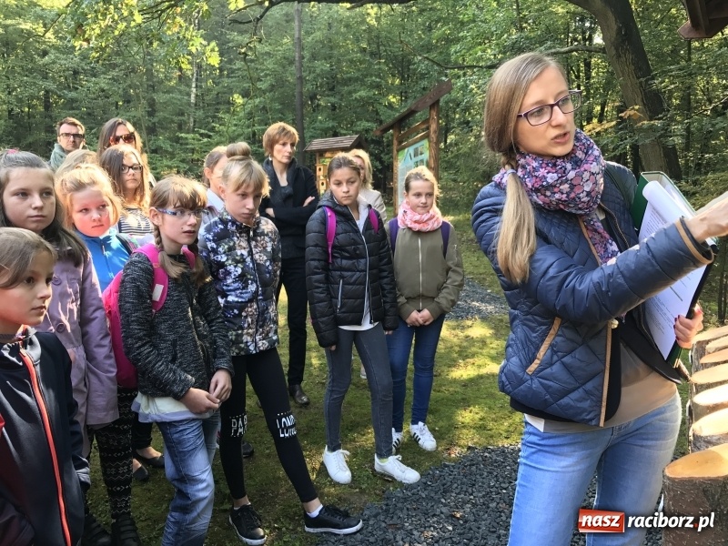 Zdjęcie w galerii na portalu naszraciborz.pl: W lesie Obora otwarto Zieloną Klasę. Sporo atrakcji dla najmłodszych wiadomości z regionu