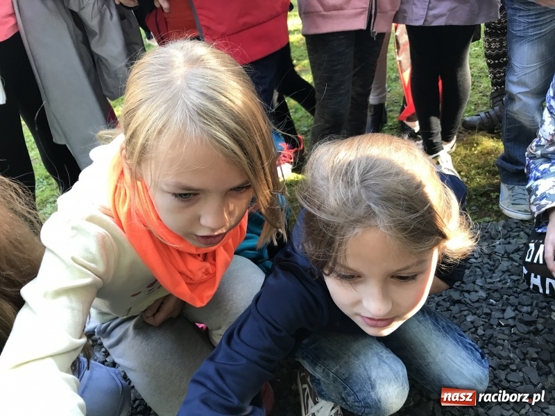 Zdjęcie w galerii na portalu naszraciborz.pl: W lesie Obora otwarto Zieloną Klasę. Sporo atrakcji dla najmłodszych wiadomości z regionu