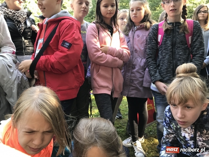 Zdjęcie w galerii na portalu naszraciborz.pl: W lesie Obora otwarto Zieloną Klasę. Sporo atrakcji dla najmłodszych wiadomości z regionu