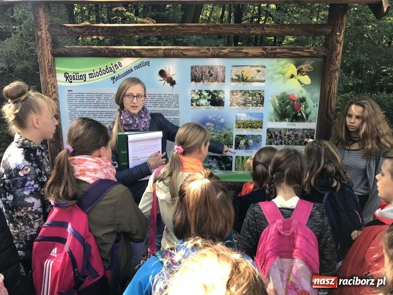Zdjęcie w galerii na portalu naszraciborz.pl: W lesie Obora otwarto Zieloną Klasę. Sporo atrakcji dla najmłodszych wiadomości z regionu