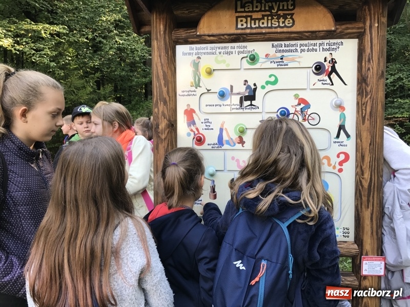 Zdjęcie w galerii na portalu naszraciborz.pl: W lesie Obora otwarto Zieloną Klasę. Sporo atrakcji dla najmłodszych wiadomości z regionu
