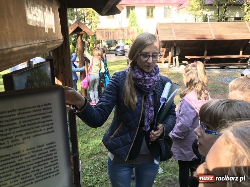 Zdjęcie w galerii na portalu naszraciborz.pl: W lesie Obora otwarto Zieloną Klasę. Sporo atrakcji dla najmłodszych wiadomości z regionu