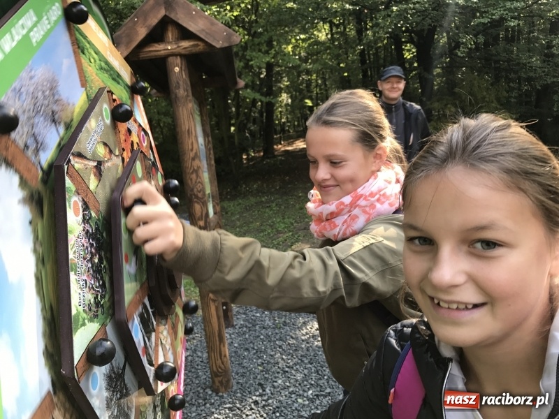 Zdjęcie w galerii na portalu naszraciborz.pl: W lesie Obora otwarto Zieloną Klasę. Sporo atrakcji dla najmłodszych wiadomości z regionu