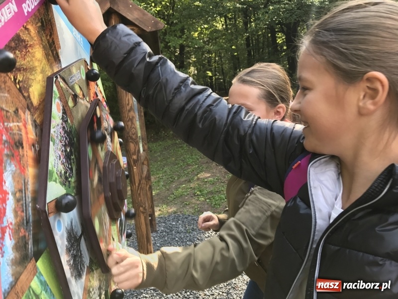 Zdjęcie w galerii na portalu naszraciborz.pl: W lesie Obora otwarto Zieloną Klasę. Sporo atrakcji dla najmłodszych wiadomości z regionu