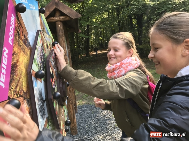 Zdjęcie w galerii na portalu naszraciborz.pl: W lesie Obora otwarto Zieloną Klasę. Sporo atrakcji dla najmłodszych wiadomości z regionu