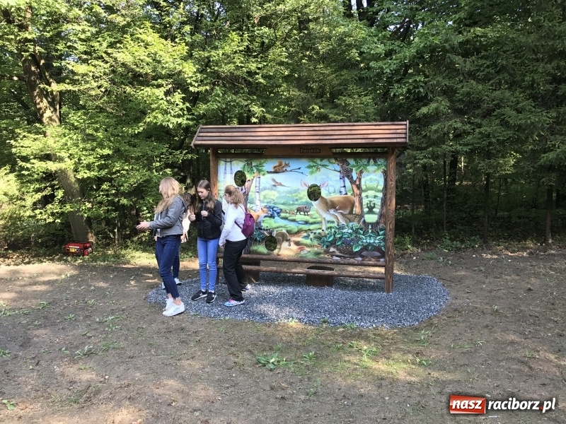 Zdjęcie w galerii na portalu naszraciborz.pl: W lesie Obora otwarto Zieloną Klasę. Sporo atrakcji dla najmłodszych wiadomości z regionu