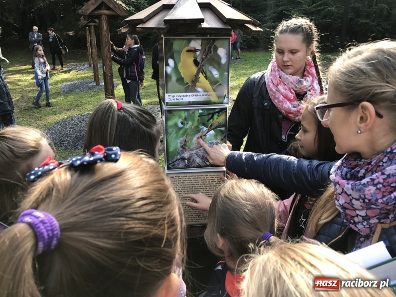 Zdjęcie w galerii na portalu naszraciborz.pl: W lesie Obora otwarto Zieloną Klasę. Sporo atrakcji dla najmłodszych wiadomości z regionu
