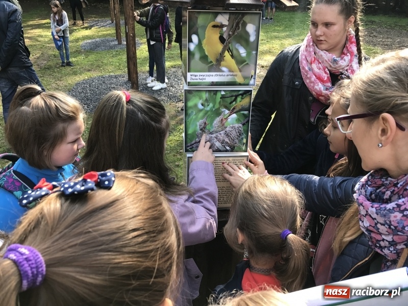 Zdjęcie w galerii na portalu naszraciborz.pl: W lesie Obora otwarto Zieloną Klasę. Sporo atrakcji dla najmłodszych wiadomości z regionu