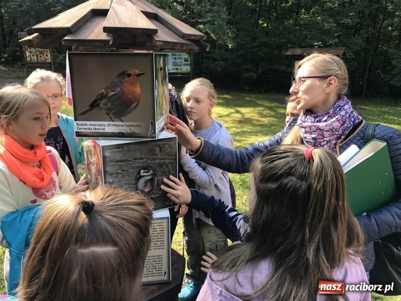 Zdjęcie w galerii na portalu naszraciborz.pl: W lesie Obora otwarto Zieloną Klasę. Sporo atrakcji dla najmłodszych wiadomości z regionu