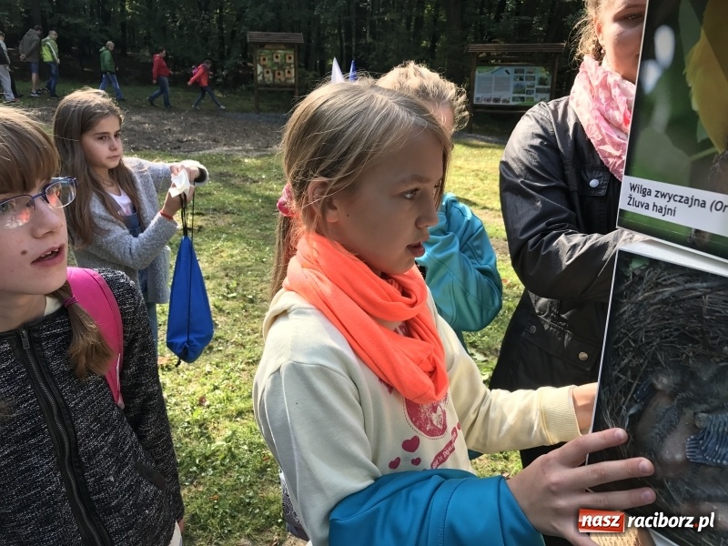 Zdjęcie w galerii na portalu naszraciborz.pl: W lesie Obora otwarto Zieloną Klasę. Sporo atrakcji dla najmłodszych wiadomości z regionu