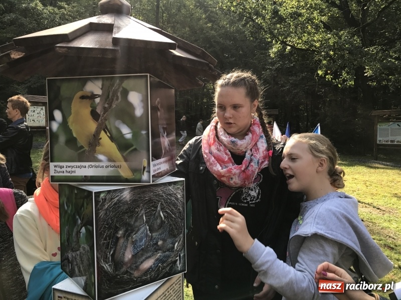 Zdjęcie w galerii na portalu naszraciborz.pl: W lesie Obora otwarto Zieloną Klasę. Sporo atrakcji dla najmłodszych wiadomości z regionu